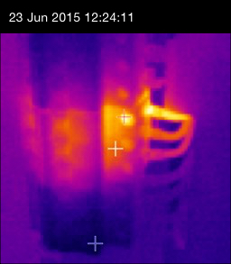 Thermal Image